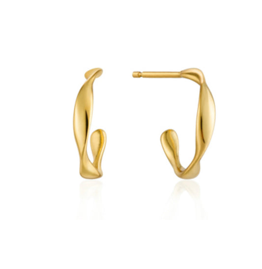 The Arc Hoops